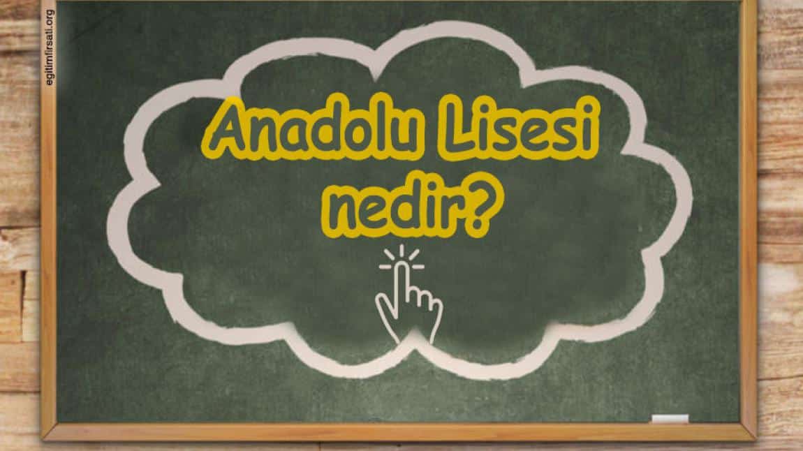 Anadolu Lisesi